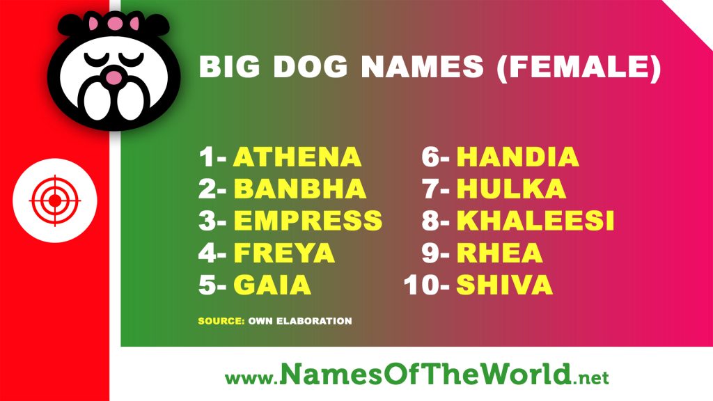10 Female Names For Big Dogs