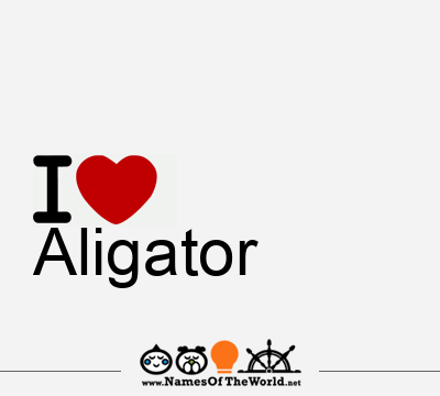 I Love Aligator