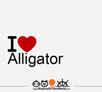 I Love Alligator