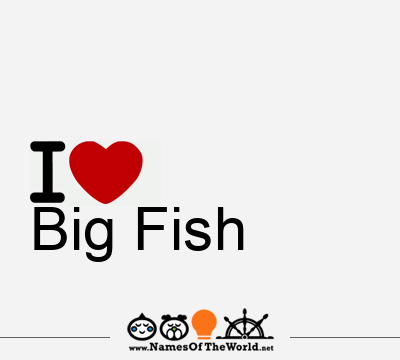 I Love Big Fish