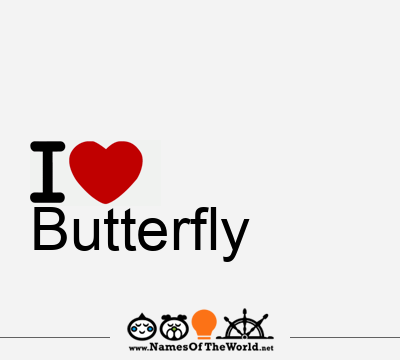 I Love Butterfly