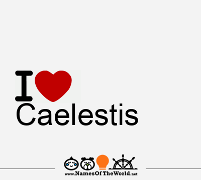 Caelestis