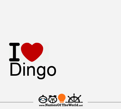 I Love Dingo