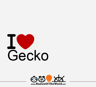 I Love Gecko