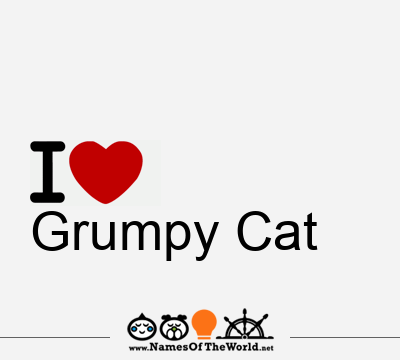 I Love Grumpy Cat