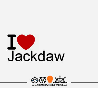 I Love Jackdaw
