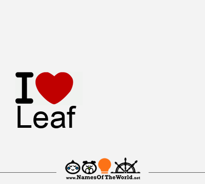I Love Leaf