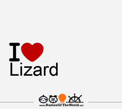 I Love Lizard