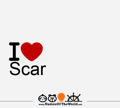 I Love Scar