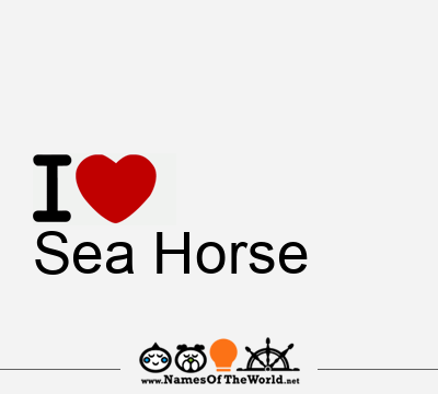 Sea Horse