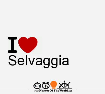 I Love Selvaggia