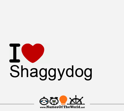 I Love Shaggydog