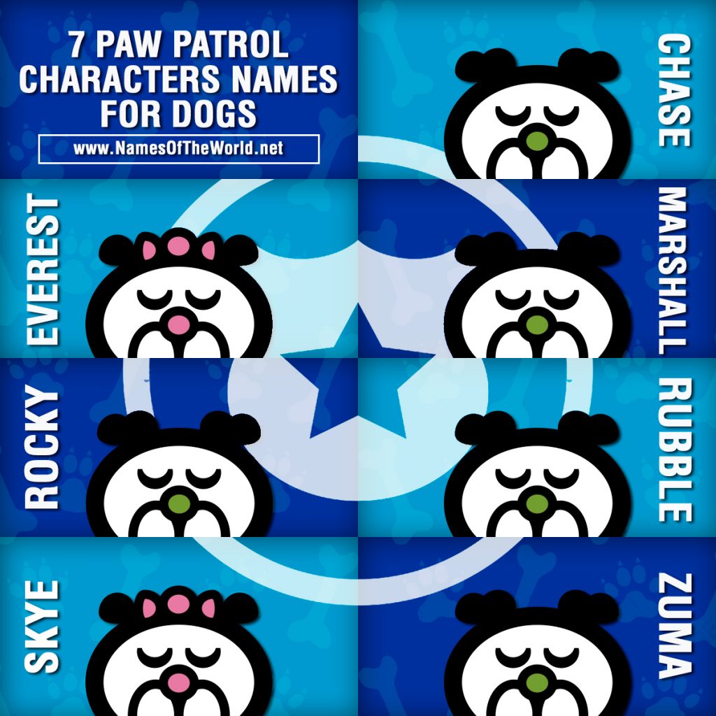 7-PAW-PATROL-CHARACTERS-NAMES-FOR-DOGS